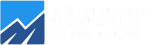 Levels Of Success Program Inc Inverted Color cropped